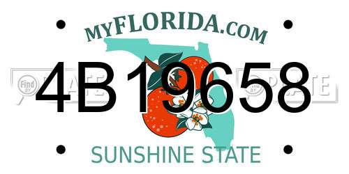 4B19658 Florida License Plate