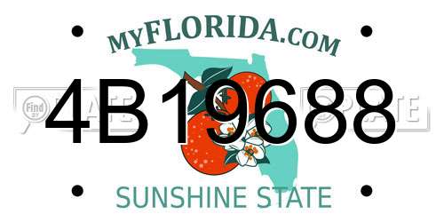 4B19688 Florida License Plate
