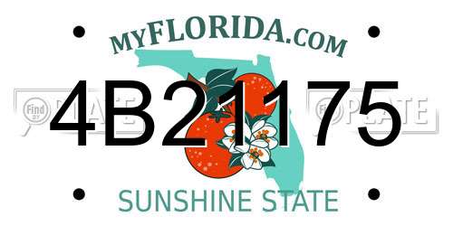 4B21175 Florida License Plate