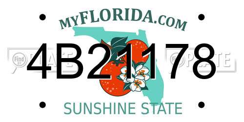 4B21178 Florida License Plate