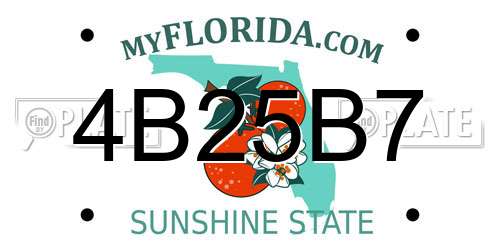 4B25B7 Florida License Plate