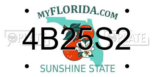4B25S2 Florida License Plate