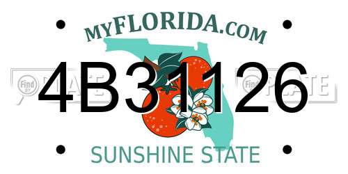 4B31126 Florida License Plate