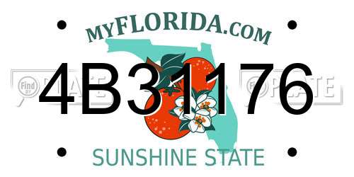 4B31176 Florida License Plate