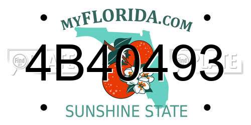 4B40493 Florida License Plate