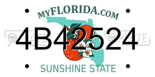 4B42524 Florida License Plate