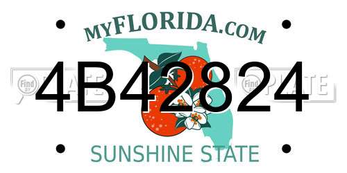 4B42824 Florida License Plate