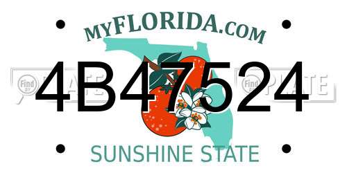 4B47524 Florida License Plate