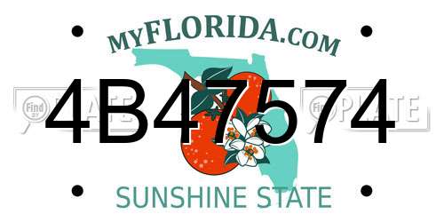 4B47574 Florida License Plate