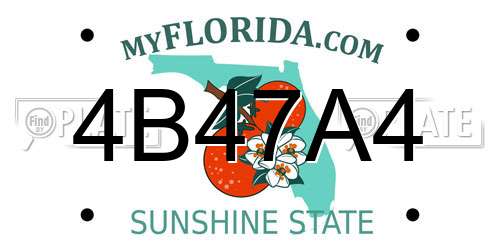 4B47A4 Florida License Plate