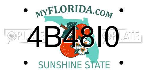 4B48I0 Florida License Plate