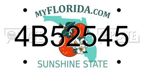 4B52545 Florida License Plate