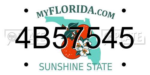 4B57545 Florida License Plate