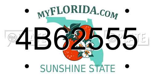4B62555 Florida License Plate