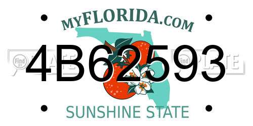 4B62593 Florida License Plate