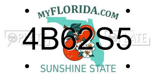 4B62S5 Florida License Plate