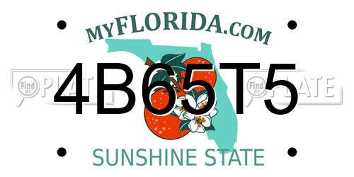 4B65T5 Florida License Plate
