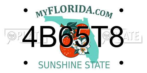 4B65T8 Florida License Plate