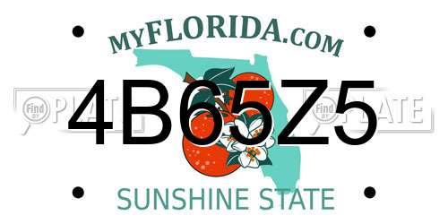 4B65Z5 Florida License Plate