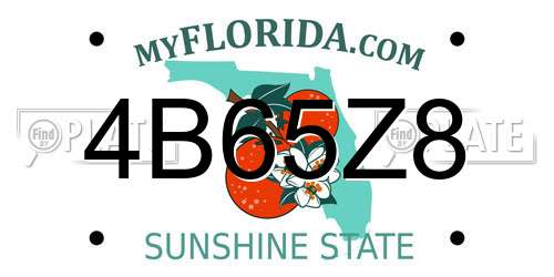 4B65Z8 Florida License Plate