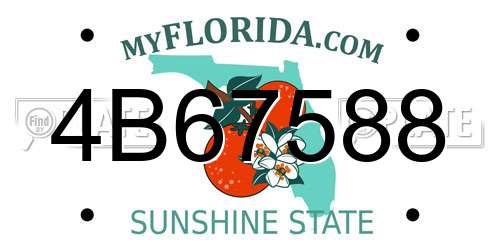 4B67588 Florida License Plate