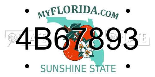 4B67893 Florida License Plate