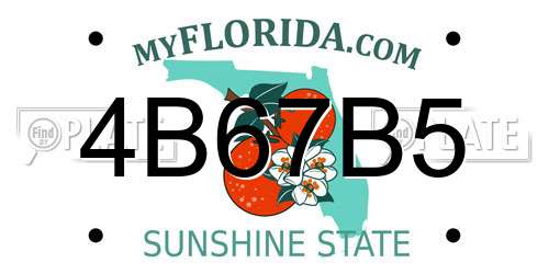 4B67B5 Florida License Plate