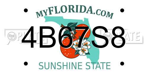 4B67S8 Florida License Plate