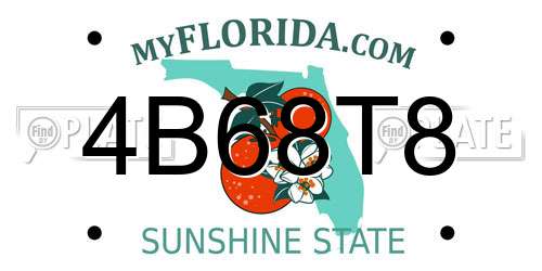 4B68T8 Florida License Plate