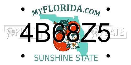 4B68Z5 Florida License Plate