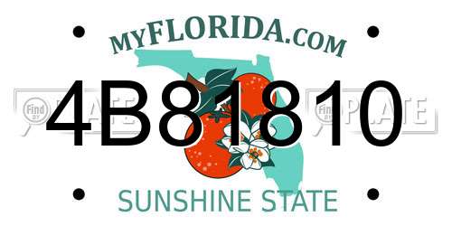 4B81810 Florida License Plate