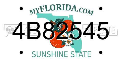 4B82545 Florida License Plate