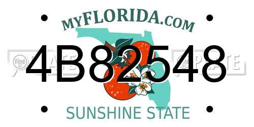 4B82548 Florida License Plate