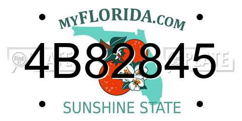 4B82845 Florida License Plate