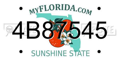 4B87545 Florida License Plate