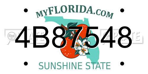 4B87548 Florida License Plate
