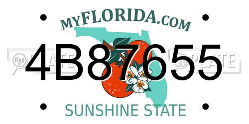 4B87655 Florida License Plate