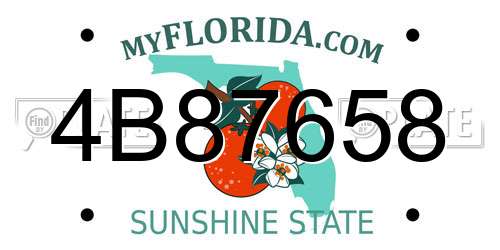 4B87658 Florida License Plate