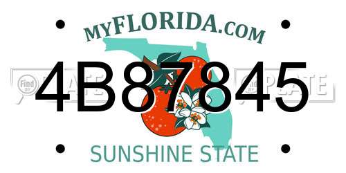 4B87845 Florida License Plate