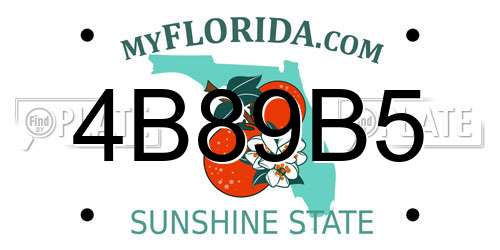 4B89B5 Florida License Plate