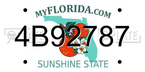 4B92787 Florida License Plate