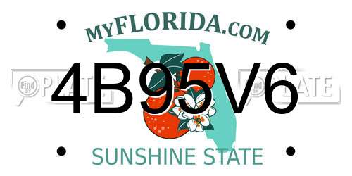 4B95V6 Florida License Plate