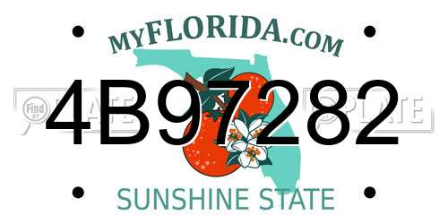 4B97282 Florida License Plate