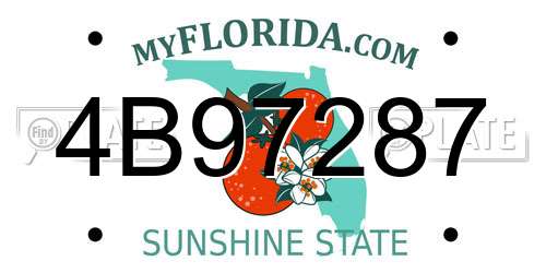 4B97287 Florida License Plate