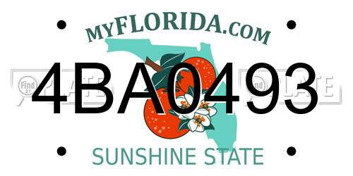 4BA0493 Florida License Plate