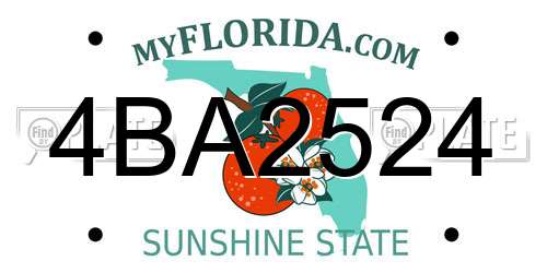 4BA2524 Florida License Plate