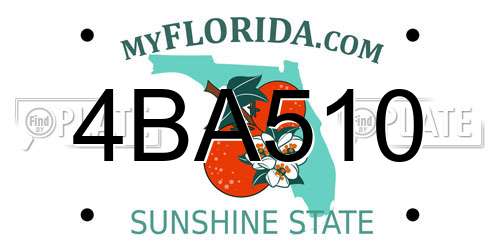 4BA510 Florida License Plate