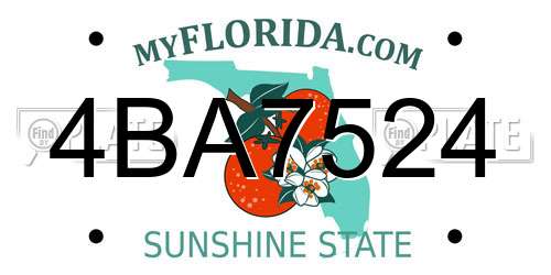 4BA7524 Florida License Plate