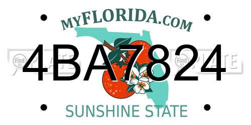 4BA7824 Florida License Plate