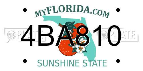 4BA810 Florida License Plate